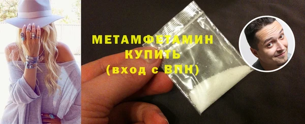 ГАЛЛЮЦИНОГЕННЫЕ ГРИБЫ Ельня