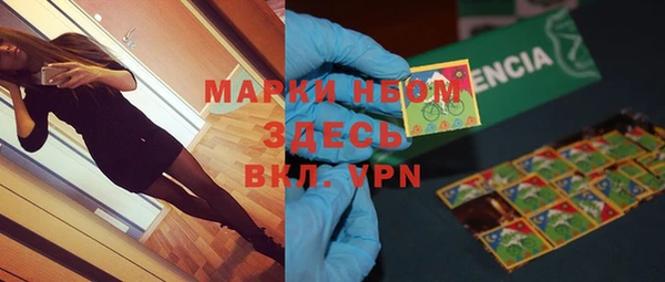 ГАЛЛЮЦИНОГЕННЫЕ ГРИБЫ Ельня