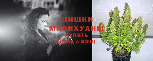 spice Елабуга