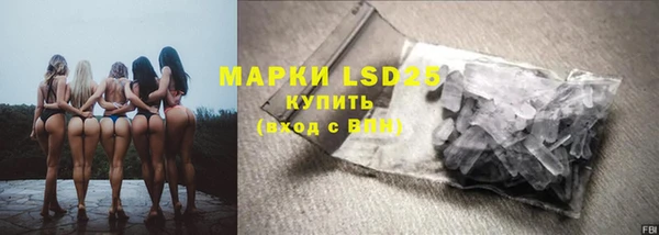 ГАЛЛЮЦИНОГЕННЫЕ ГРИБЫ Ельня