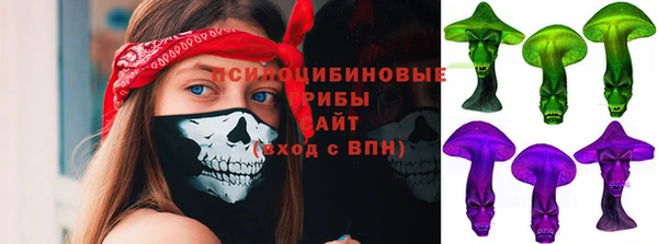 бошки Елизово