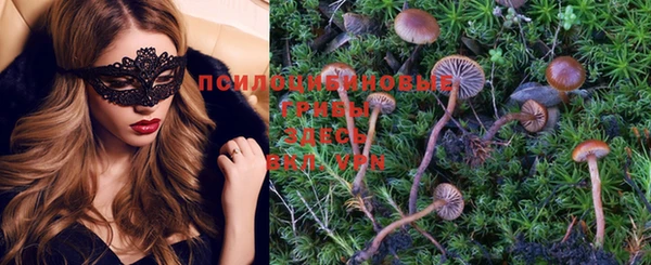 spice Елабуга