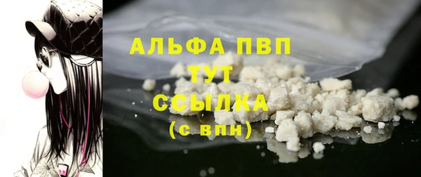 ГАЛЛЮЦИНОГЕННЫЕ ГРИБЫ Ельня