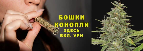 ГАЛЛЮЦИНОГЕННЫЕ ГРИБЫ Ельня