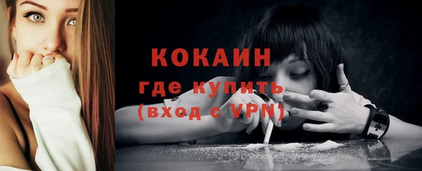 ГАЛЛЮЦИНОГЕННЫЕ ГРИБЫ Ельня