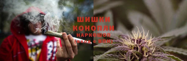 spice Елабуга