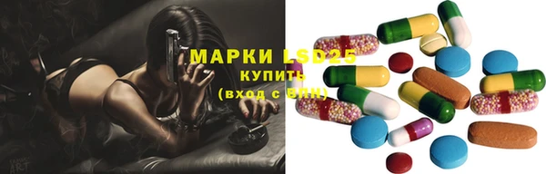 ГАЛЛЮЦИНОГЕННЫЕ ГРИБЫ Ельня