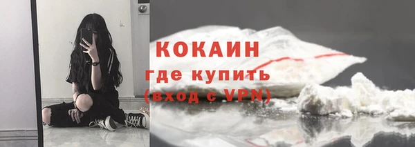 ГАЛЛЮЦИНОГЕННЫЕ ГРИБЫ Ельня