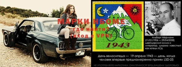ГАЛЛЮЦИНОГЕННЫЕ ГРИБЫ Ельня