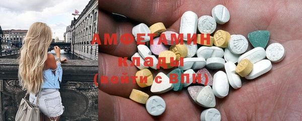 ГАЛЛЮЦИНОГЕННЫЕ ГРИБЫ Ельня