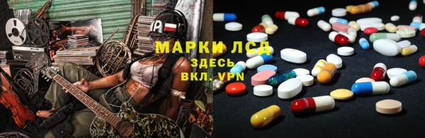 ГАЛЛЮЦИНОГЕННЫЕ ГРИБЫ Ельня