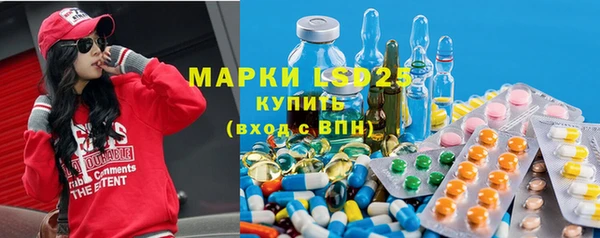 ГАЛЛЮЦИНОГЕННЫЕ ГРИБЫ Ельня