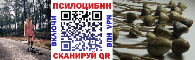 магазин продажи   Евпатория  Псилоцибиновые грибы Magic Shrooms 